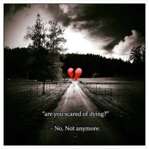 Meet your Posher, Eva